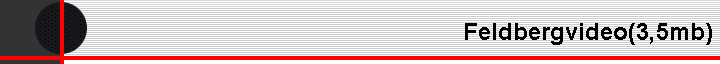 Feldbergvideo(3,5mb)